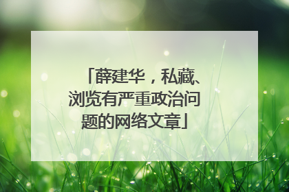 薛建华，私藏、浏览有严重政治问题的网络文章