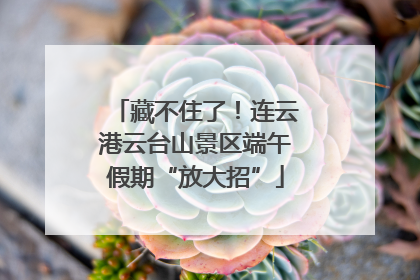 藏不住了！连云港云台山景区端午假期“放大招”