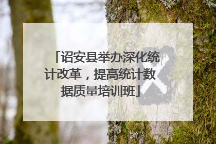 诏安县举办深化统计改革，提高统计数据质量培训班