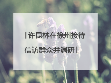 许昆林在徐州接待信访群众并调研