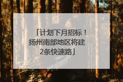 计划下月招标！扬州南部地区将建2条快速路