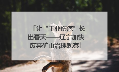 让“工业伤疤”长出春天——辽宁加快废弃矿山治理观察