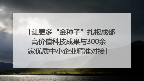 让更多“金种子”扎根成都 高价值科技成果与300余家优质中小企业精准对接
