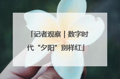 记者观察｜数字时代“夕阳”别样红
