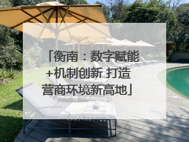 衡南：数字赋能+机制创新 打造营商环境新高地