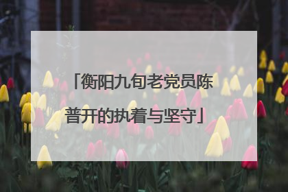 衡阳九旬老党员陈普开的执着与坚守