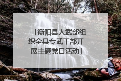 衡阳县人武部组织全县专武干部开展主题党日活动