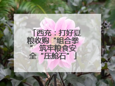 西充：打好夏粮收购“组合拳” 筑牢粮食安全“压舱石”