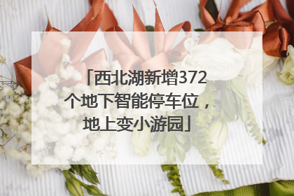 西北湖新增372个地下智能停车位，地上变小游园