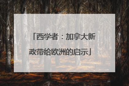 西学者：加拿大新政带给欧洲的启示