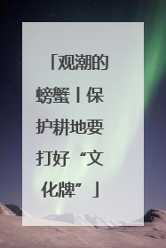 观潮的螃蟹丨保护耕地要打好“文化牌”