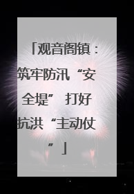 观音阁镇：筑牢防汛“安全堤” 打好抗洪“主动仗”