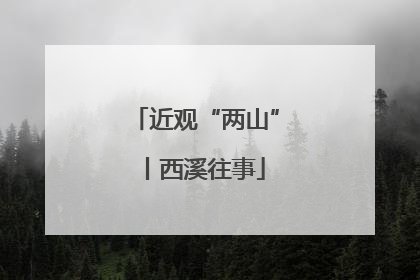近观“两山”丨西溪往事