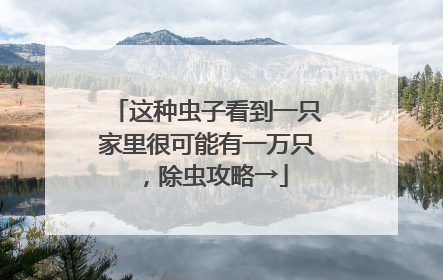 这种虫子看到一只家里很可能有一万只，除虫攻略→