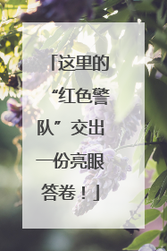 这里的“红色警队”交出一份亮眼答卷！