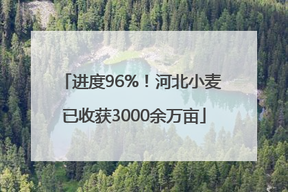 进度96%！河北小麦已收获3000余万亩