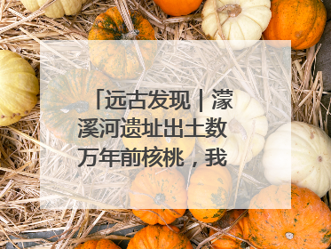 远古发现｜濛溪河遗址出土数万年前核桃，我国先民食用核桃历史大幅提前