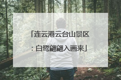 连云港云台山景区：白鹭翩翩入画来