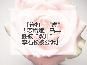 连打三“虎”！罗增斌、马丰胜被“双开”，李石松被公诉