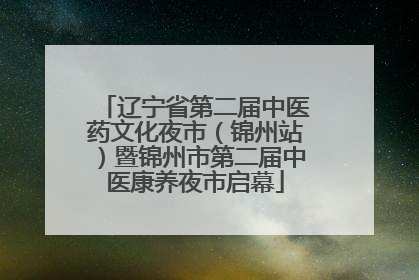辽宁省第二届中医药文化夜市（锦州站）暨锦州市第二届中医康养夜市启幕