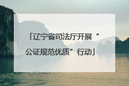 辽宁省司法厅开展“公证规范优质”行动