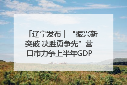 辽宁发布｜“振兴新突破 决胜勇争先”营口市力争上半年GDP增长6%左右