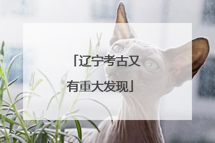 辽宁考古又有重大发现