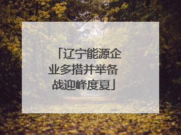 辽宁能源企业多措并举备战迎峰度夏
