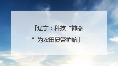 辽宁：科技“神器”为农田夏管护航