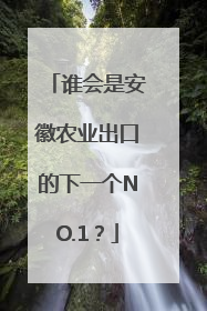 谁会是安徽农业出口的下一个NO.1？