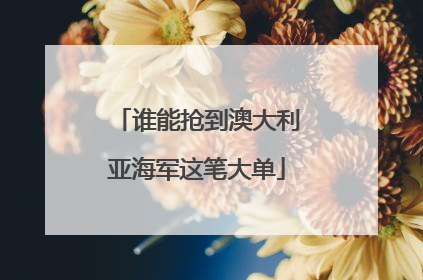 谁能抢到澳大利亚海军这笔大单