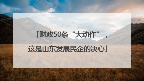财政50条“大动作”，这是山东发展民企的决心