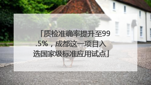 质检准确率提升至99.5%，成都这一项目入选国家级标准应用试点