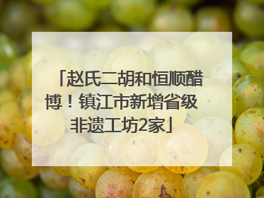 赵氏二胡和恒顺醋博！镇江市新增省级非遗工坊2家