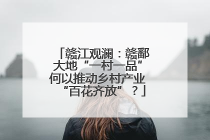 赣江观澜：赣鄱大地“一村一品”何以推动乡村产业“百花齐放”？