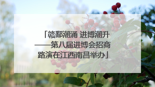 赣鄱潮涌 进博潮升——第八届进博会招商路演在江西南昌举办