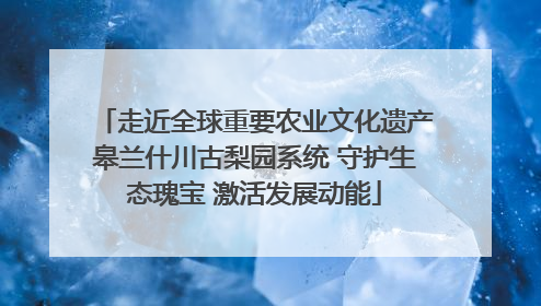 走近全球重要农业文化遗产皋兰什川古梨园系统 守护生态瑰宝 激活发展动能