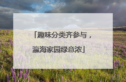 趣味分类齐参与，瀛海家园绿意浓