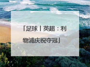 足球丨英超：利物浦庆祝夺冠