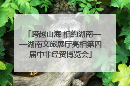 跨越山海 相约湖南——湖南文旅展厅亮相第四届中非经贸博览会