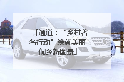 通道：“乡村著名行动”绘就美丽侗乡新图景