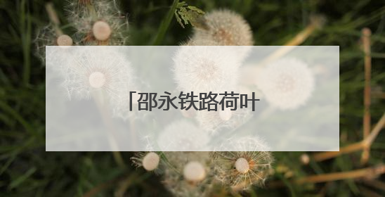 邵永铁路荷叶村隧道贯通