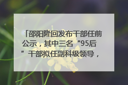 邵阳隆回发布干部任前公示，其中三名“95后”干部拟任副科级领导，均系硕士选调生