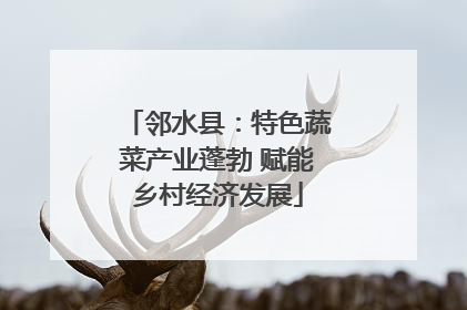 邻水县：特色蔬菜产业蓬勃 赋能乡村经济发展
