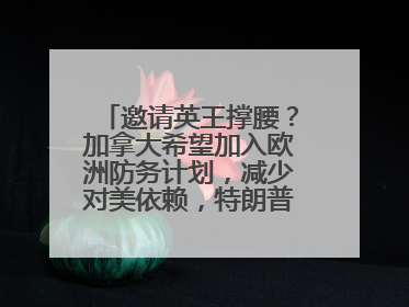 邀请英王撑腰？加拿大希望加入欧洲防务计划，减少对美依赖，特朗普：成为美国第51个州，免费用“金穹”