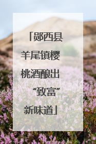 郧西县羊尾镇樱桃酒酿出“致富”新味道