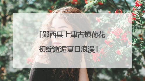 郧西县上津古镇荷花初绽邂逅夏日浪漫