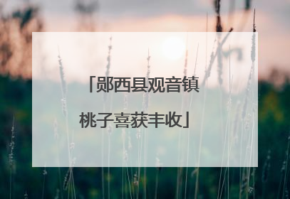 郧西县观音镇桃子喜获丰收