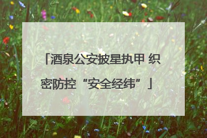 酒泉公安披星执甲 织密防控“安全经纬”