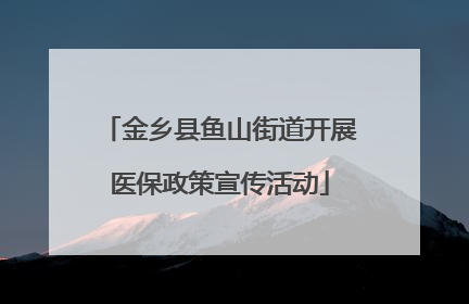 金乡县鱼山街道开展医保政策宣传活动